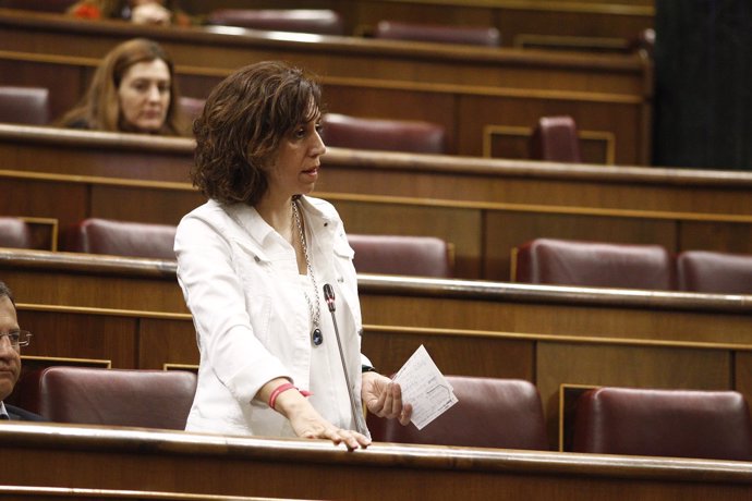 Irene Lozano en el Congreso de los Diputados