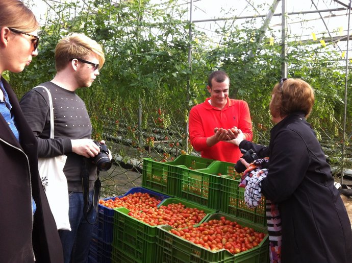 Medios de comunicación alemanes visitan un invernadero de tomate cherri