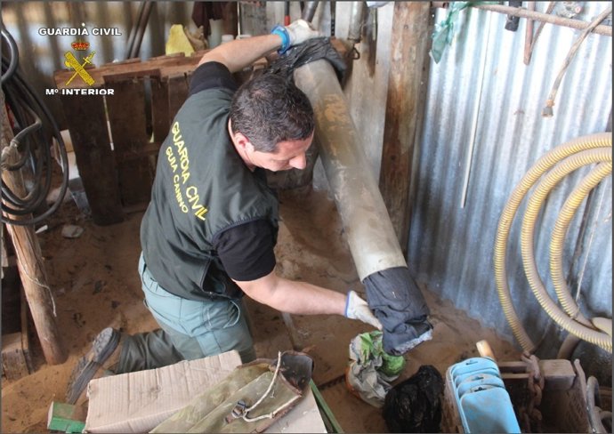 Actuación del Seprona