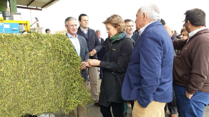 Isabel Garcia Tejerina visita Agroquivir