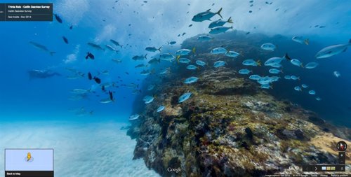 Fondo marino de las islas brasileñas 