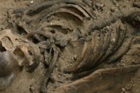 Las monjas trinitarias no pondrán problemas en mostrar en la capilla los restos de Cervantes