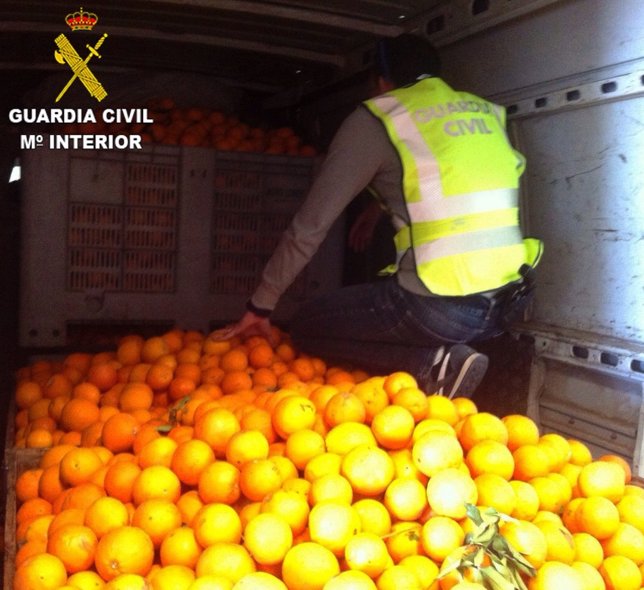 Naranjas robadas recuperadas por el Equipo Roca de la Guardia Civil de Paiporta.