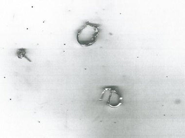 Joyas sutraídas en la provincia de Lugo.