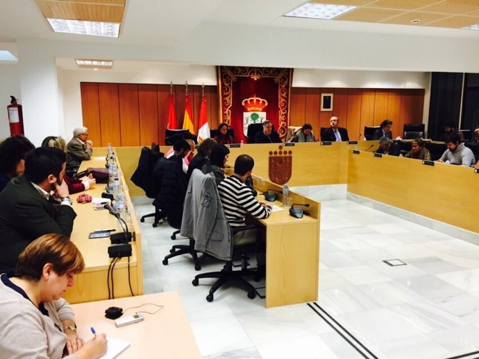 Pleno de San Sebastián de los Reyes