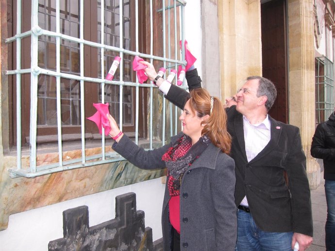 De la Haba y Anchuelo usan las 'bayetas magenta' en la Diputación de Córdoba