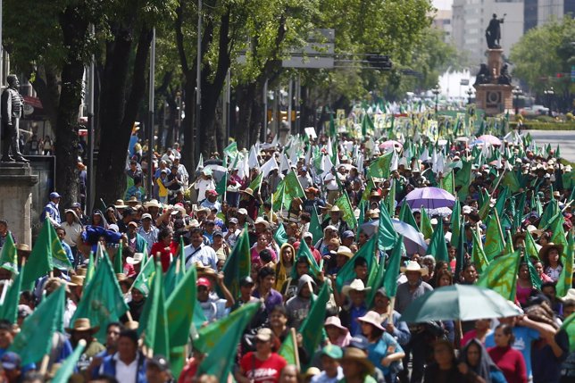 Cerca de 20.000 campesinos se manifiestan en México DF