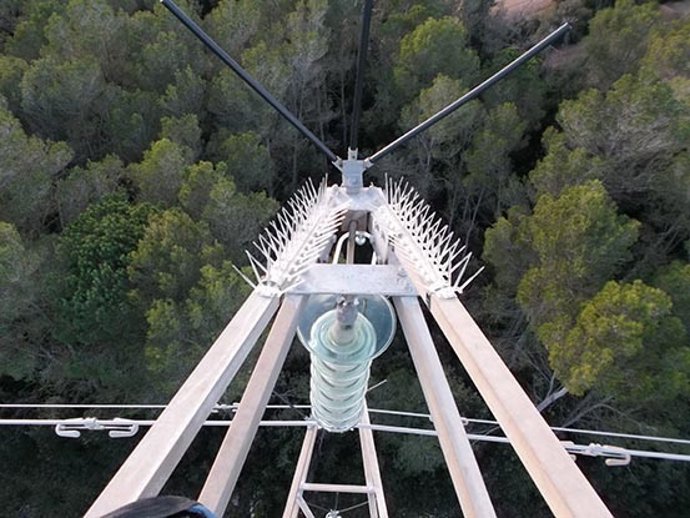 Dispositivo para evitar que se posen las aves