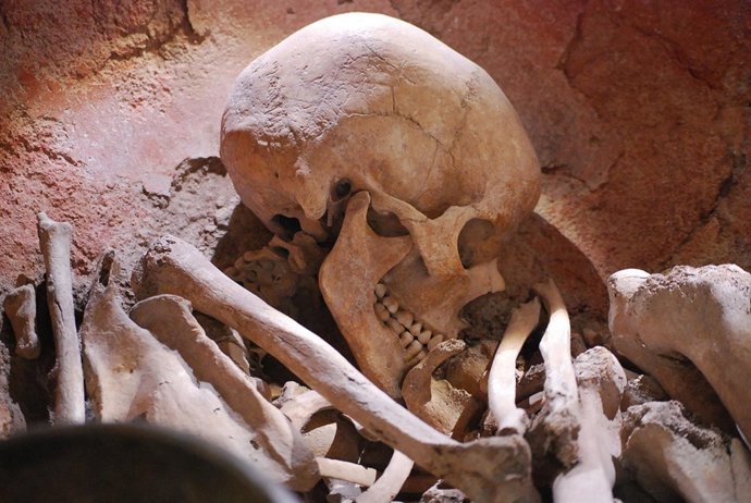 El Yacimiento Argárico de 'La Bastida'