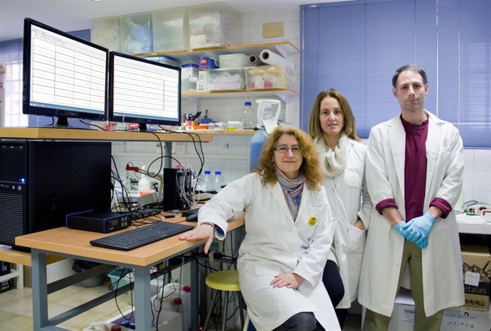 Grupo de investigación