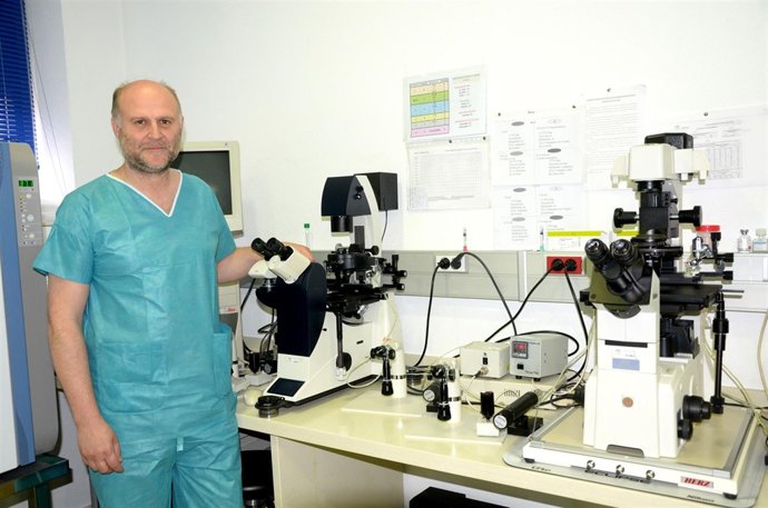 Un especialista de la Unidad de Reproducción Asistida del Complejo jiennense.