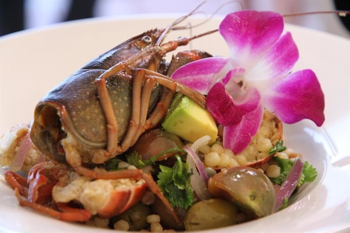 Festival Saborea Puerto Rico