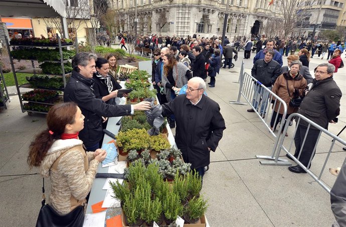 Reparto árboles y plantas 
