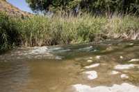 El agua, un DDHH para el Gobierno