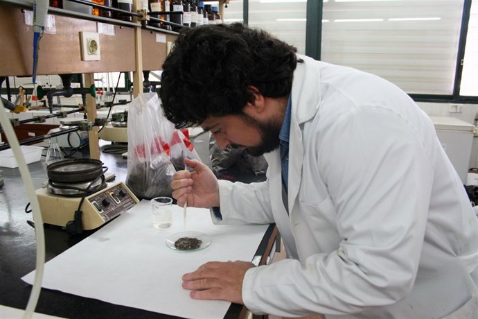 El investigador Ángel Gordillo Rivero