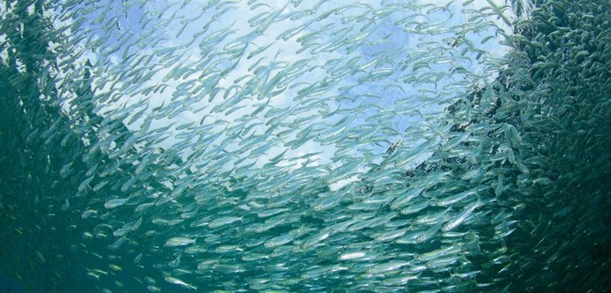 Día Mundial del Agua