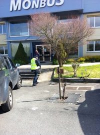 Libertad para cinco de los detenidos en el operativo en que fue arrestado el presidente de Monbus