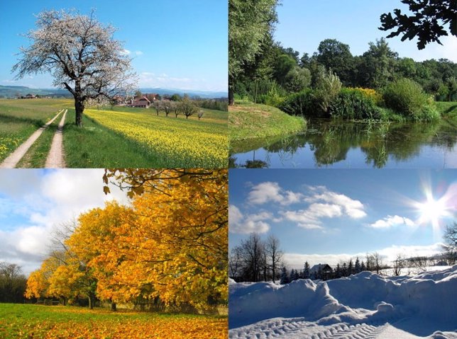 Primavera, verano, otoño o invierno: ¿Qué estación del año eres según tu persona