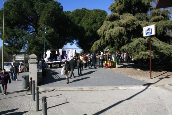 Paseo de la vega, Mercadillo, Mercado, Personas caminando