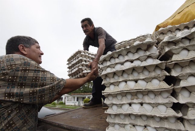 Men carry cartons of eggs after arriving at a distribution center in Pinar del R