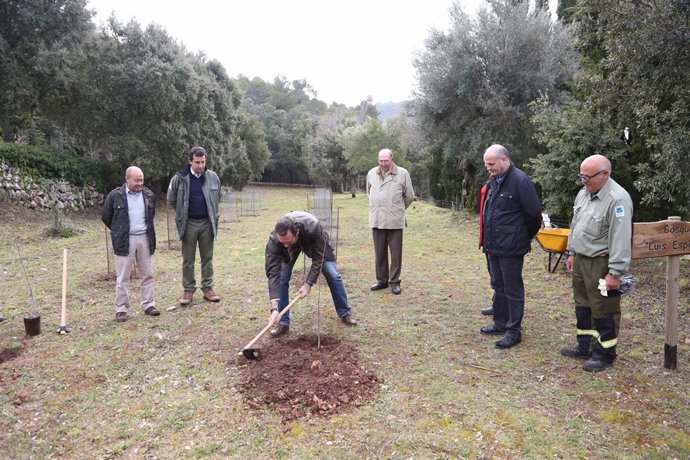 Bauzá visita el centro forestal de baleares