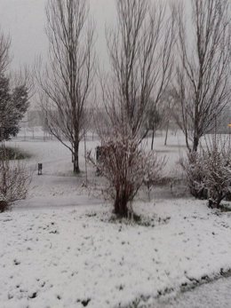 Nieve en Bizkaia