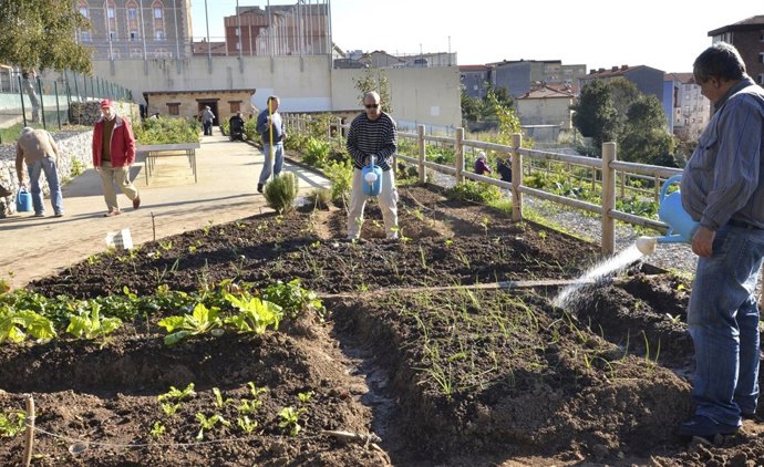 Huertos finca Altamira 