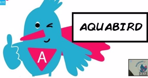 Campaña de Aquae Fundación