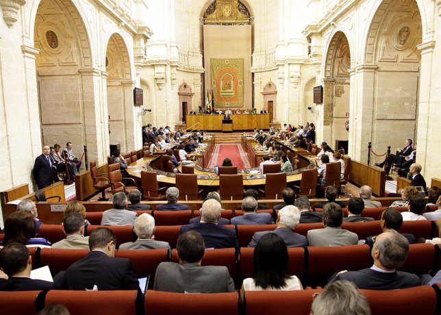 Imagen del Pleno del Parlamento durante el discurso de Griñán