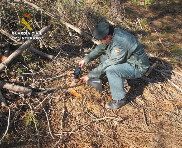 Tala de árboles en el parque natural de Sierra de Aracena (Huelva)
