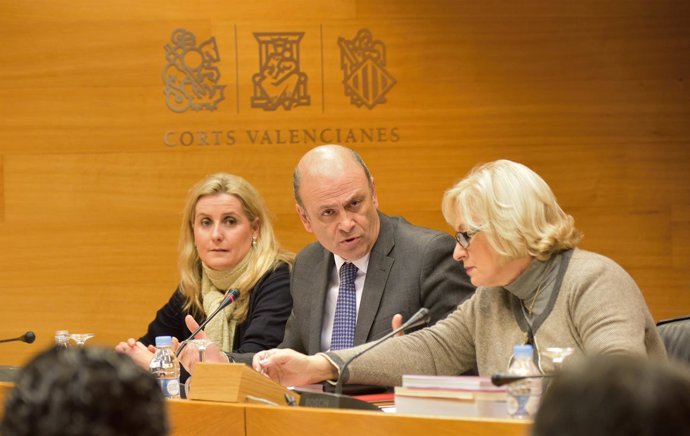 Luis Ibáñez en la Comisión de Sanidad de las Corts