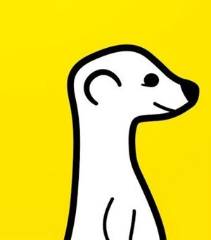 Meerkat