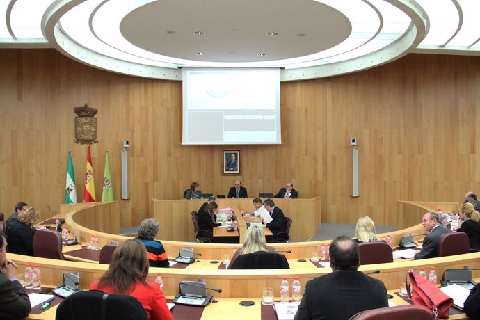 Pleno en la Diputación de Granada.