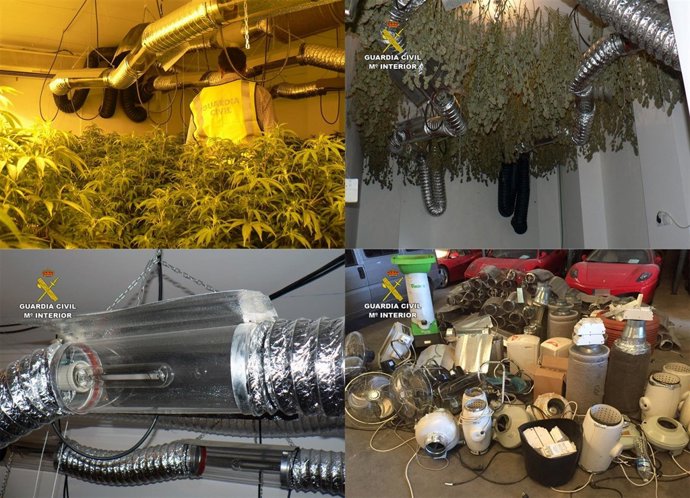 Desmantela una sofisticada plantación de marihuana