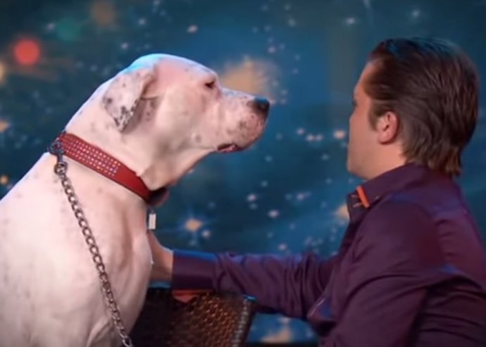 Lady Xena es el perro que ha causado furor interprentando a Whitney Houston