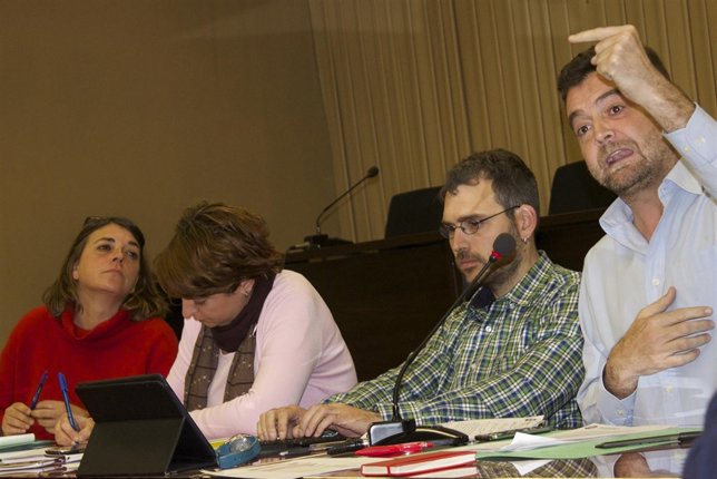 Maíllo, en la Comisión Ejecutiva de IU de Andalucía