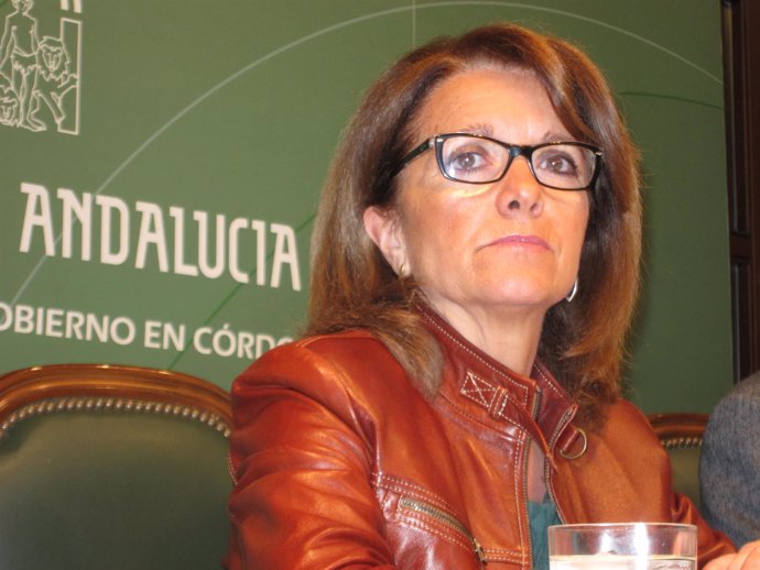 La delegada de Educación, Cultura y Deporte de la Junta, Manuela Gómez