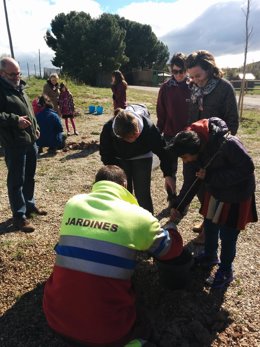 Gamarra observa la plantación 