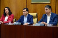 Moreno pide "coherencia" a PSOE-A y dice que respetar la lista más votada debe ser un principio "bidireccional"