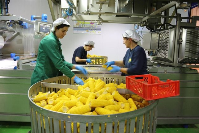 Empresa de El Carracillo