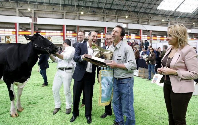 Concurso Nacional de Primavera de Ganado Frisón