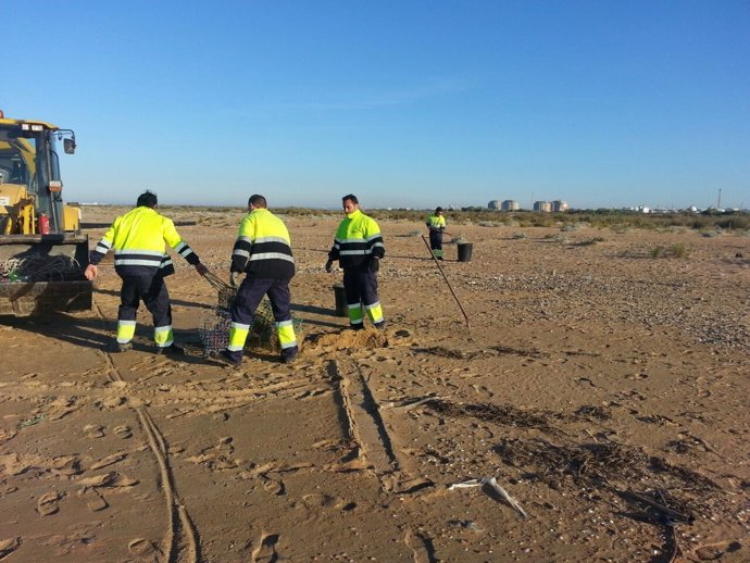 Limpieza de la playa del Espigón en Huelva. 