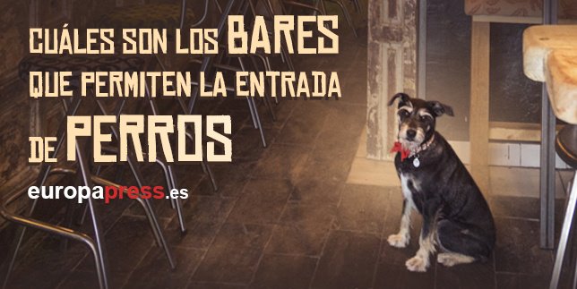 Mapa de bares que permiten la entrada de perros
