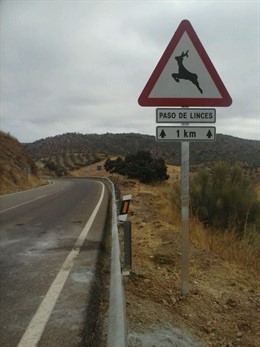 Junta pide a Bruselas aumentar en 236.000 euros las partidas para carreteras