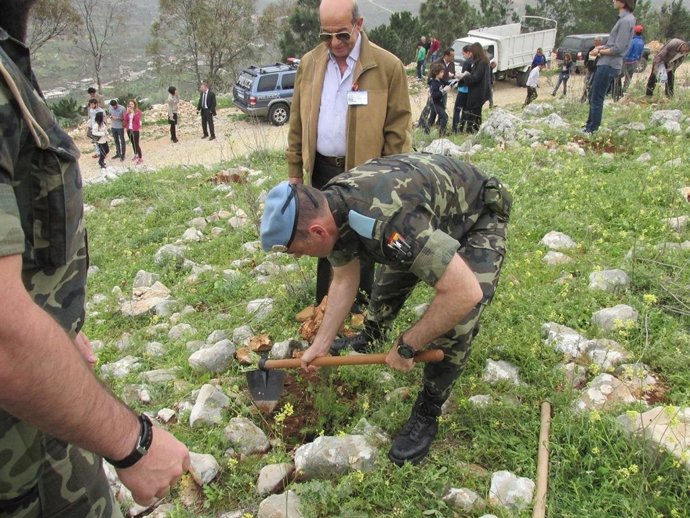 Reforestación en Líbano
