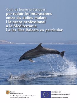 Imagen guía delfines