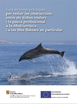 Imagen guía delfines