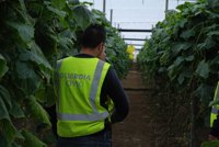 Los robos en el campo cayeron el año pasado un 6,29% en La Rioja