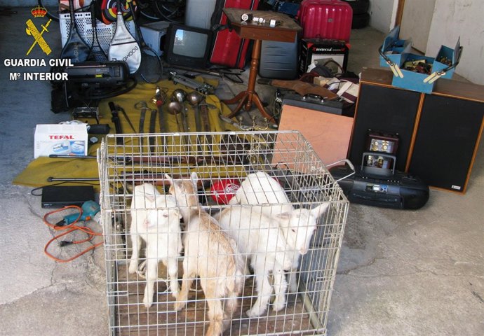 Objetos y animales intervenidos en Bétera