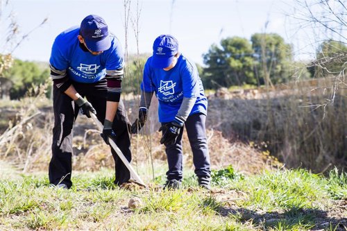 Voluntariado de recuperación forestal